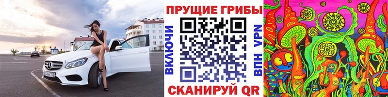 Галлюциногенные грибы Psilocybine cubensis  Харовск 